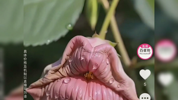 口碑崩塌？百雀羚广告陷辱女擦边争议，AI成挡箭牌？